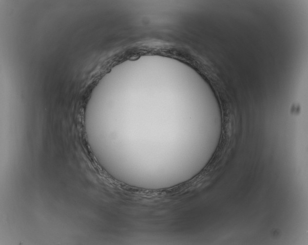 X0000112971397200908270932