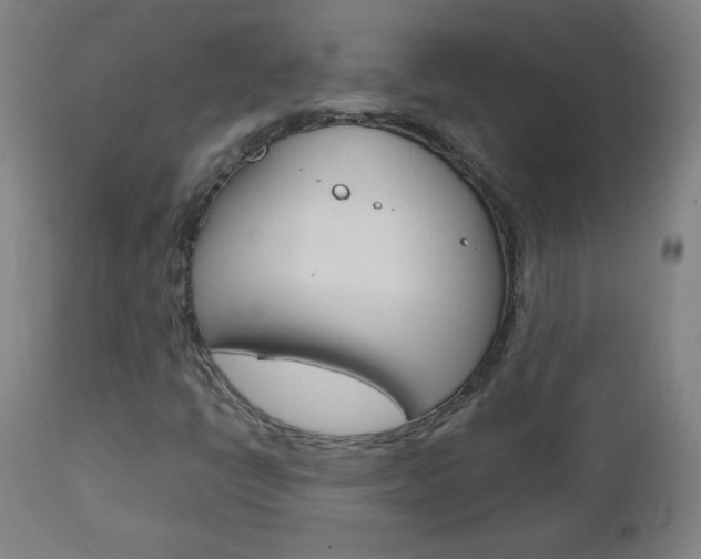 X0000112971398200908270932