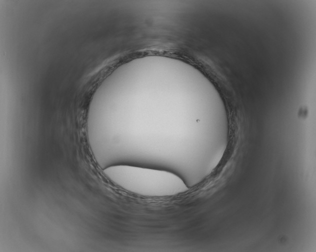 X0000112971399200908270932