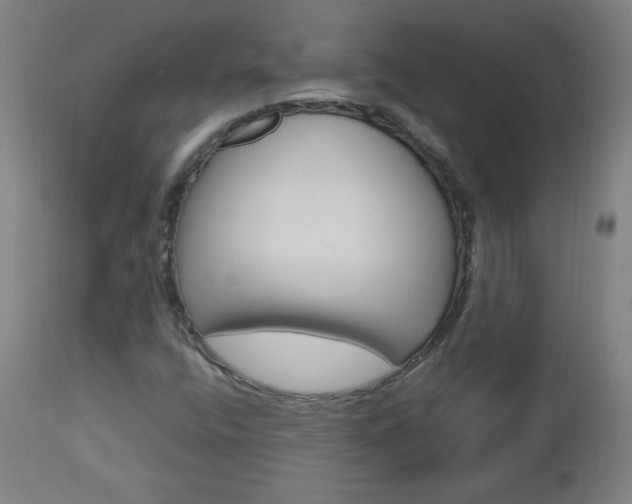 X0000112971400200908270932