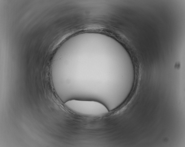 X0000112971401200908270932