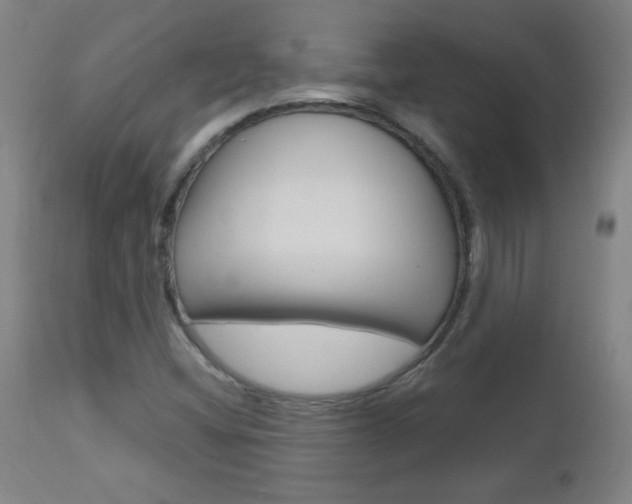 X0000112971404200908270932