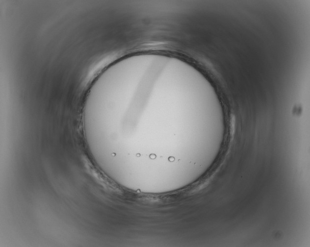X0000112971405200908270932