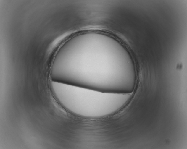 X0000112971406200908270932