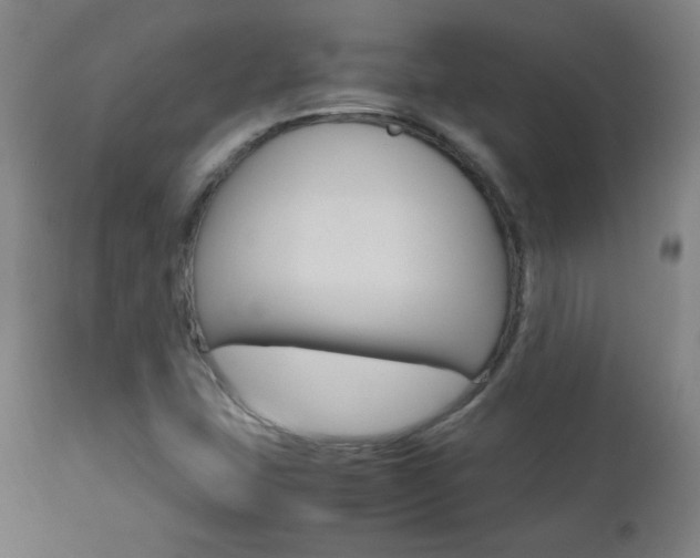 X0000112971407200908270932