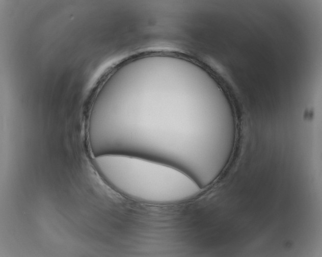 X0000112971408200908270932
