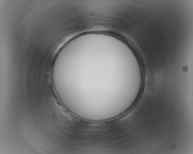 X0000112971409200908270932