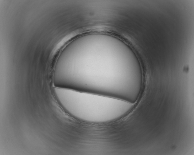 X0000112971410200908270932