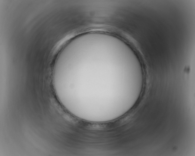 X0000112971411200908270932