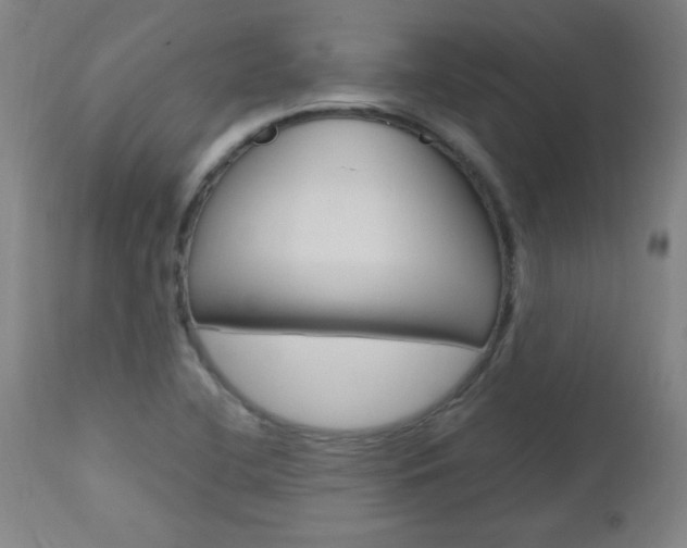 X0000112971412200908270932