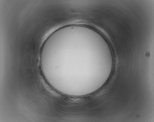 X0000112971413200908270932