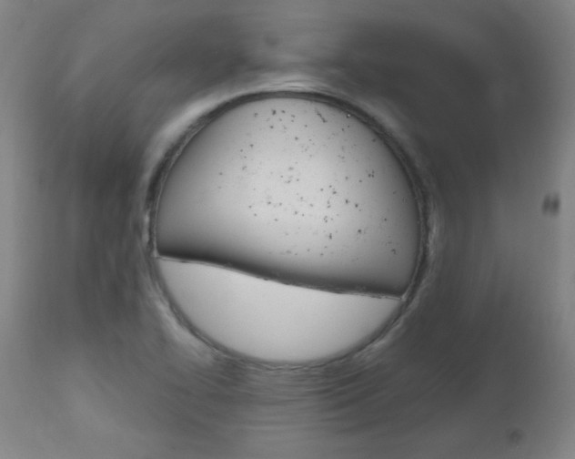 X0000112971414200908270932