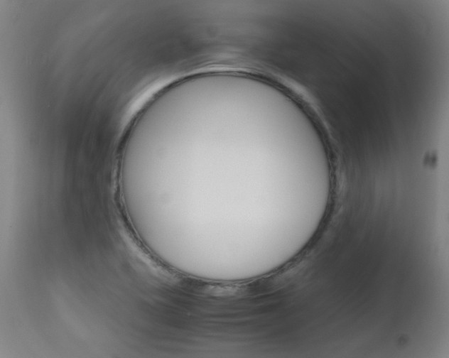X0000112971415200908270932