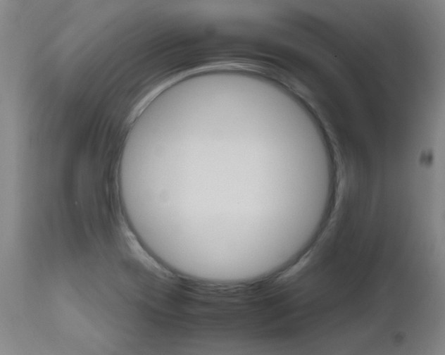 X0000112971417200908270932