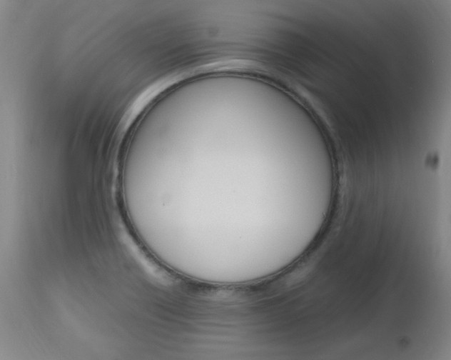 X0000112971418200908270932