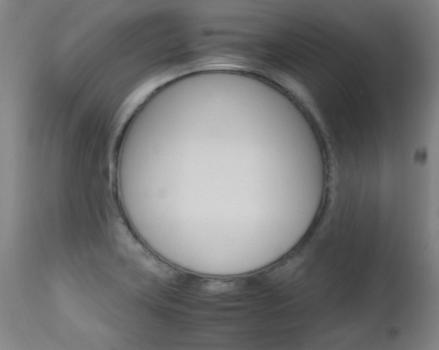 X0000112971419200908270932