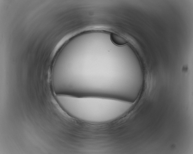X0000112971420200908270932