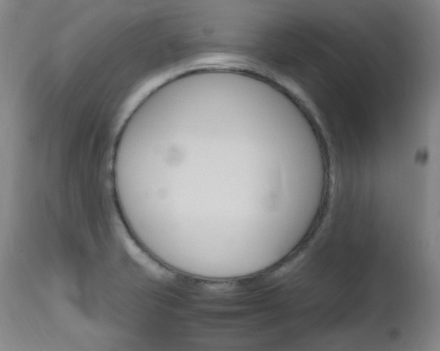 X0000112971421200908270932