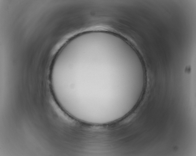 X0000112971422200908270932