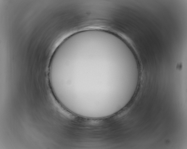 X0000112971423200908270932