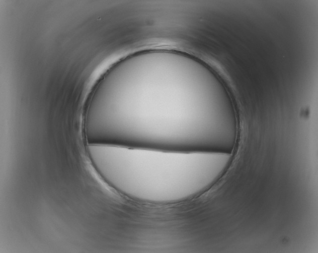 X0000112971424200908270932