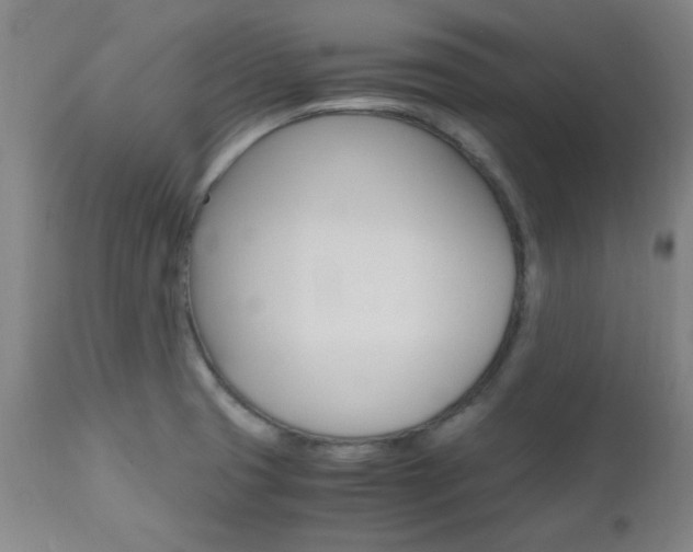 X0000112971425200908270932