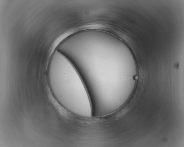 X0000112971426200908270932