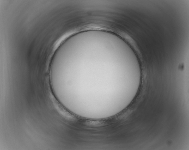 X0000112971427200908270932