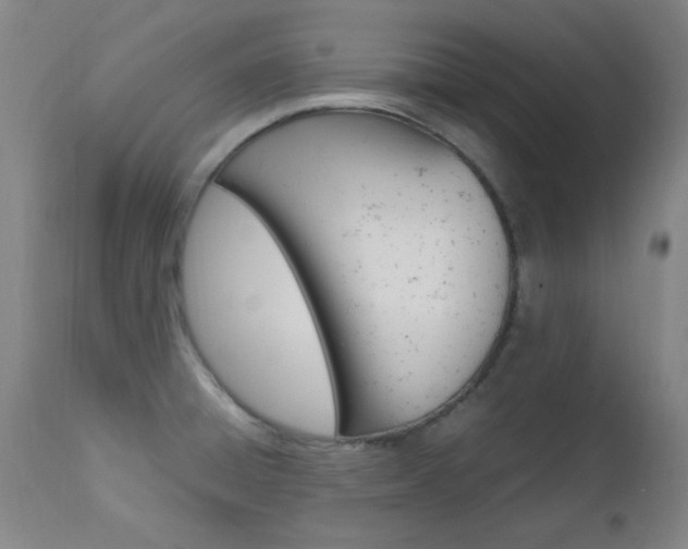 X0000112971428200908270932