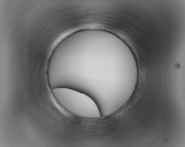 X0000112971429200908270932