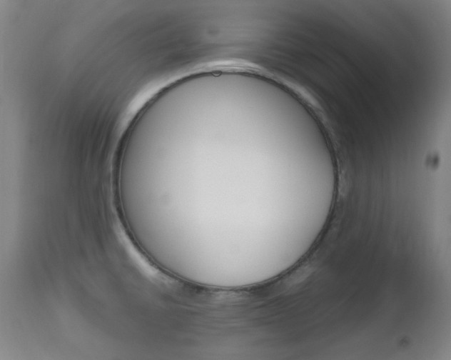 X0000112971430200908270932