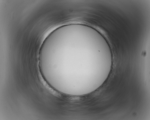 X0000112971431200908270933