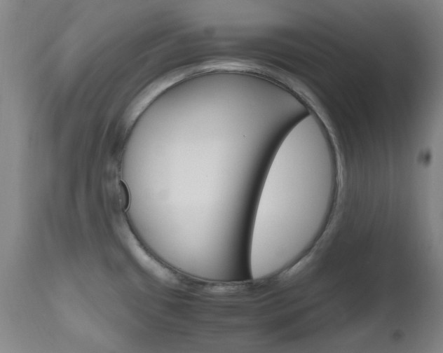 X0000112971433200908270933