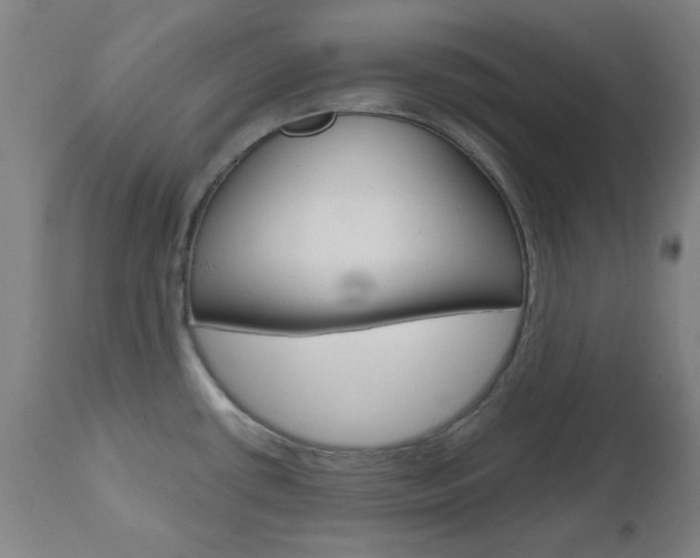 X0000112971434200908270933