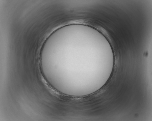X0000112971435200908270933
