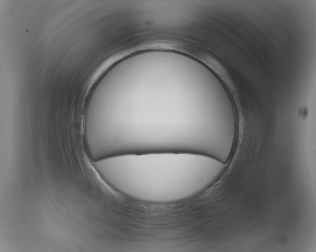 X0000112971436200908270933