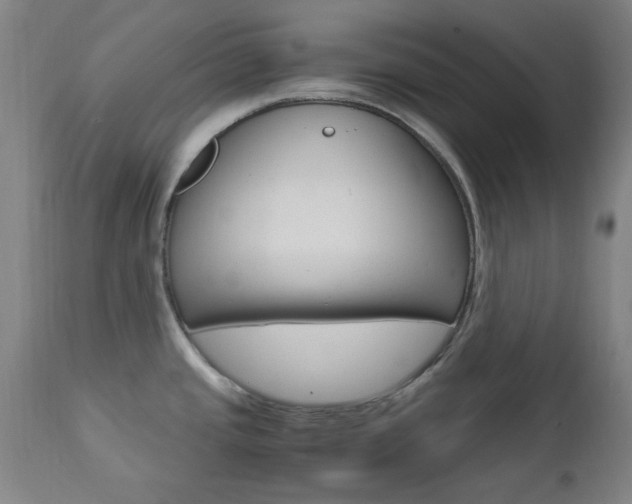 X0000112971437200908270933