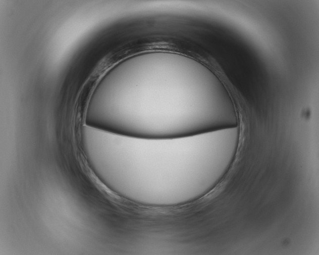 X0000112971438200908270933
