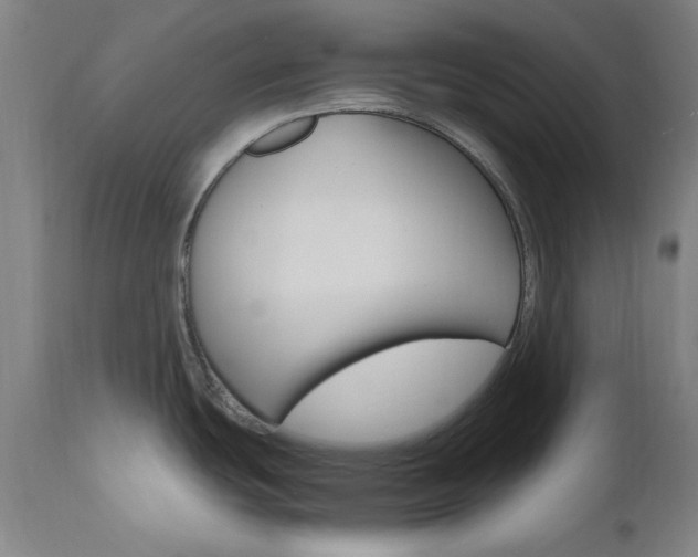 X0000112971439200908270933