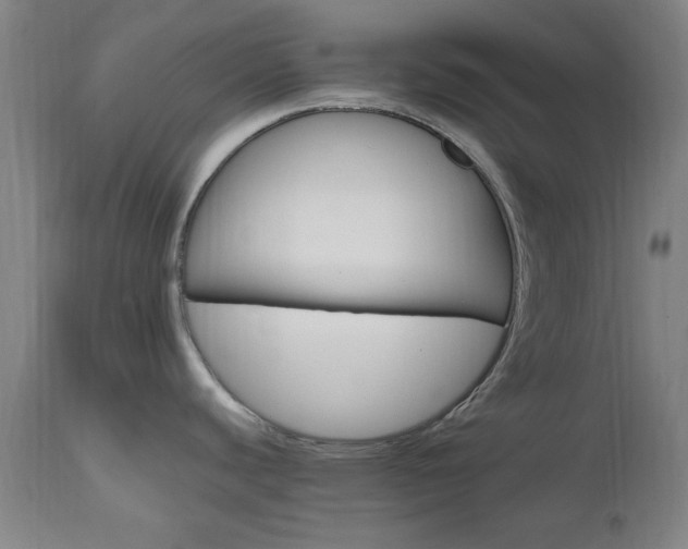 X0000112971440200908270933