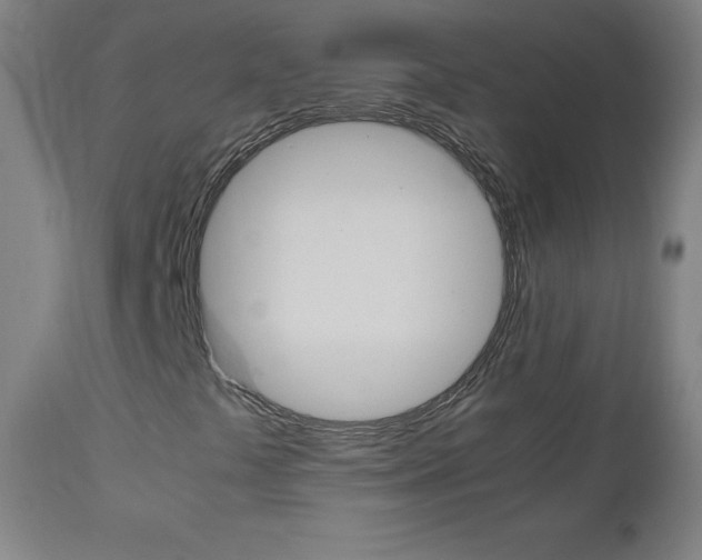 X0000112971441200908270932