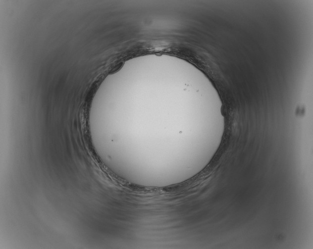X0000112971442200908270932