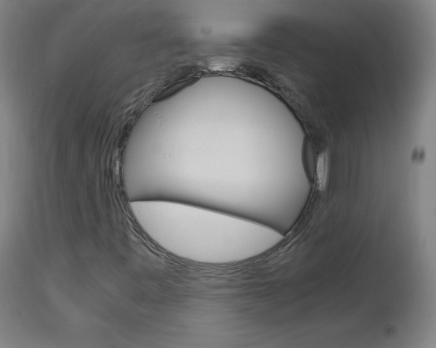 X0000112971443200908270932