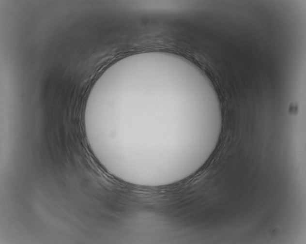 X0000112971444200908270932