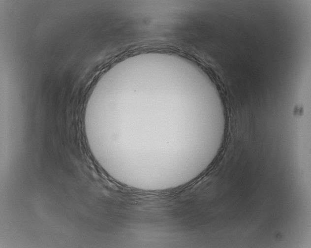 X0000112971445200908270932