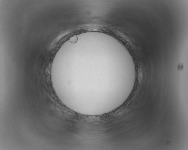 X0000112971446200908270932