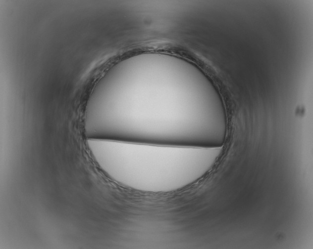 X0000112971447200908270932