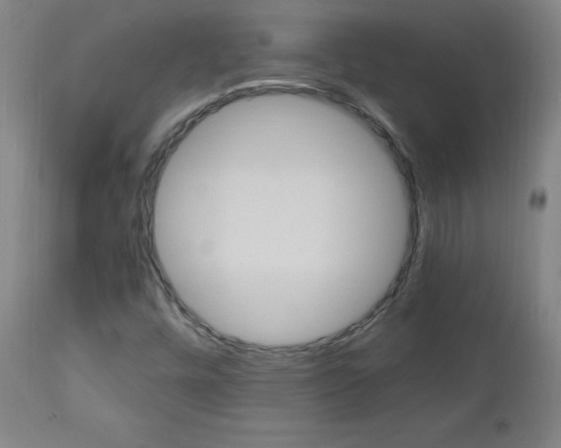 X0000112971448200908270932