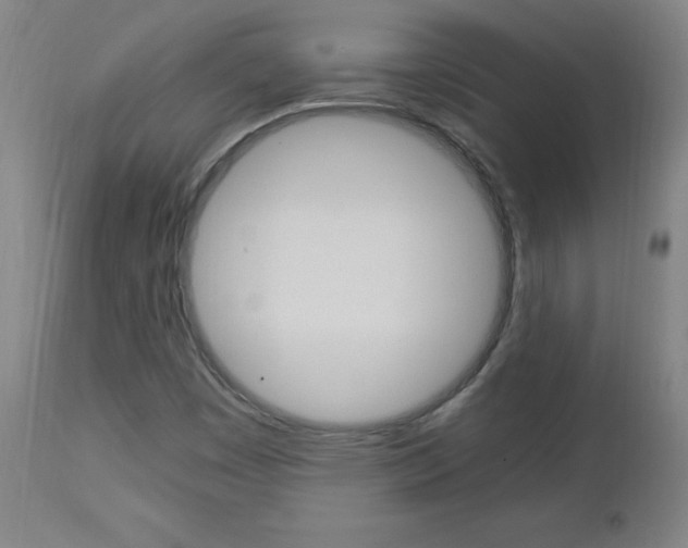 X0000112971449200908270932