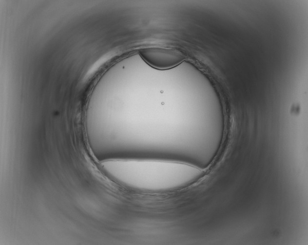 X0000112971450200908270932
